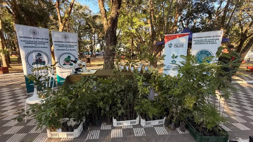 Entrega de plantines forestales gratuitamente